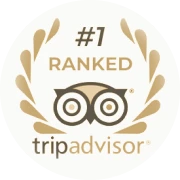 Altezza Travel — обладатель награды Travellers' Choice 2026 от Tripadvisor