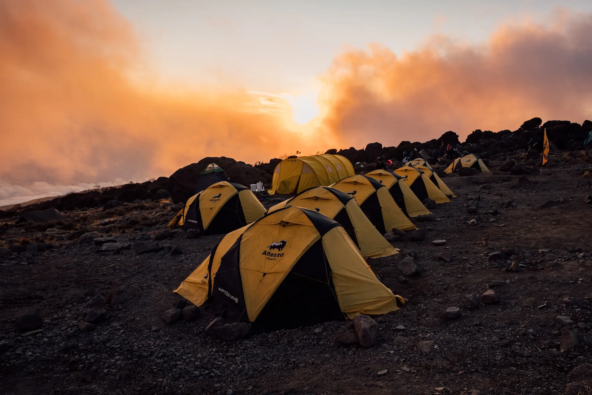 Стандартные палатки The North Face