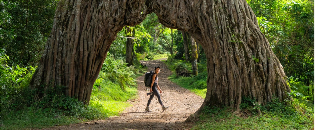 Прогулка от Momella Gate до Miriakamba Hut