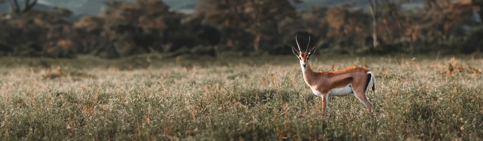 Парк Ндараквай Парк Ндараквай