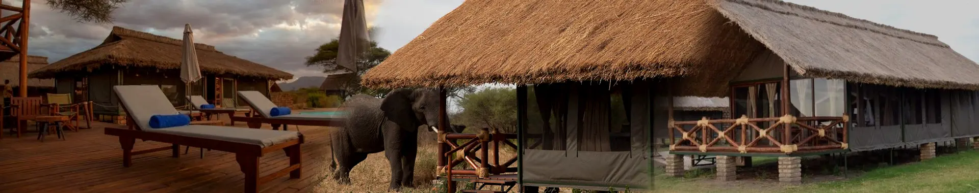 Simba Tarangire Lodge